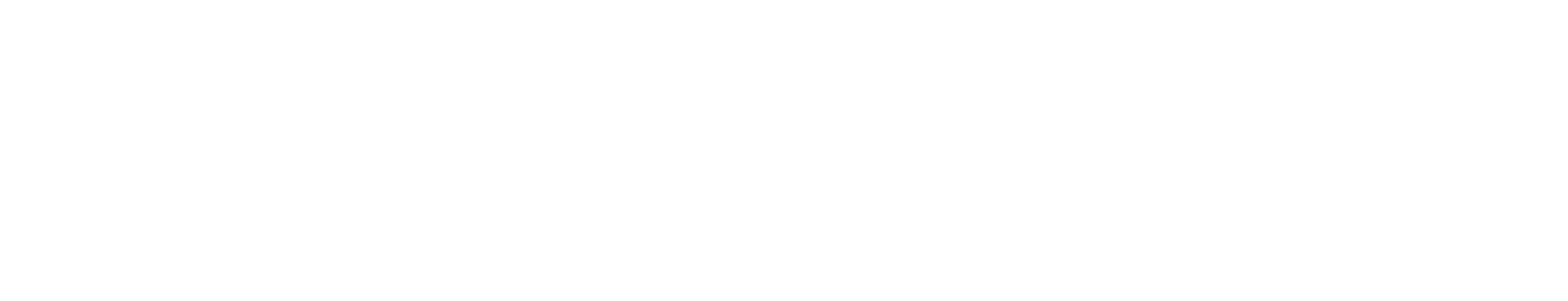 Capital FinServ International